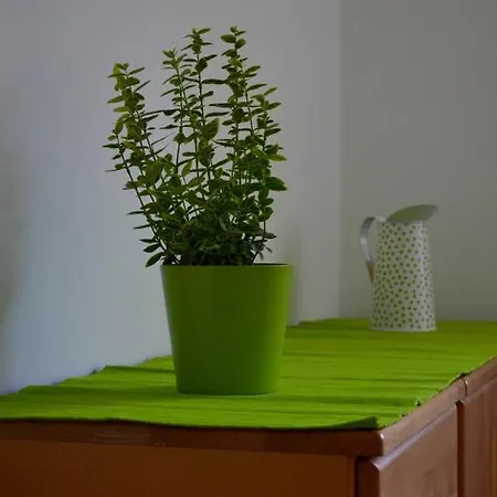 Apartment Sweet In